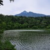 【旅】高山植物と涼を満喫した北海道（道北）