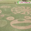 ４年ぶりにくまモンの地上絵公開 水前寺江津湖公園