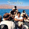 母なるインドへ還れ ／ 映画『Swades』