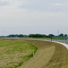 五霞町の利根川・江戸川沿いサイクリング（茨城県五霞町）