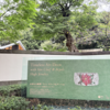 【東京都庭園美術館へ】緑がとてもきれいで、癒される場所でした・・！！レストランも素敵です