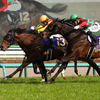 日曜競馬　展望