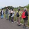 ④11月の生き物観察会～田んぼから境川遊水地
