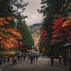  曇りの日光に紅葉を見に行ってきました【中編／日光東照宮周辺】