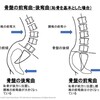 はじめての？操体（施術者編）