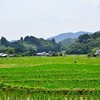 雨引神社からの景色が想像以上　大分県豊後高田市