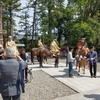  多賀大社の古例大祭へ