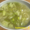 朝食！『レタスとネギの味噌汁』を作ってみた！