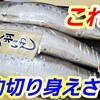 "【釣り餌研究所】半額のイワシ丸干で切り身えさ作ってみた！アナゴ、太刀魚、カサゴなどの魚釣りで効果大かも！！" を YouTube で見る