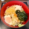 蕎麦さだはる（新橋/内幸町）かけそば•冷