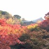 京都で秋満喫　前半