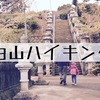 厚木で低山ハイキング〜森林セラピーでも有名な白山を４歳娘を連れて登ってきた〜