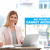 Why project managers cannot avoid meetings?