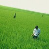 【ＢＳ松竹東急】リリイ・シュシュのすべて