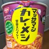 【レビュー】マッサマン カレーメシ　は本格的