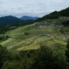 赤木城～田丸城～多気北畠氏城館～松阪城、および千枚田と酷道