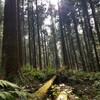 山をご案内