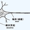 【深層学習入門】ニューラルネットワーク