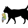 人間と猫のコミュニケーション 猫にモテたい！！猫に好かれやすい人＆嫌われやすい人