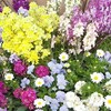 食費が大幅増加(>_<)、エンゲル係数43年ぶりの高水準