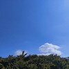 【高校受験】聞くのと行くのでは、やっぱり違う。高校の学校説明会に行ってきました