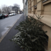 クリスマスツリーを捨てる日