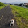 三連休最終日は…？