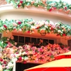 ハウステンボスの花や建物などオランダ風  森の家景観 ⑱