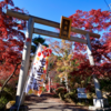 秩父御嶽神社 東郷公園の紅葉よかった！