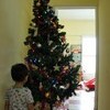 クリスマスツリーと交信