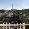 母と、ハトよけネットのこと。