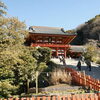 鶴岡八幡宮へ遅い初詣