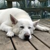 連休最終日は