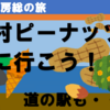 【南房総の旅】木村ピーナッツ・道の駅に行こう！