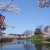 高田公園にお花見に行った