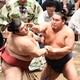 秋場所５日目の結果　豊昇龍５連勝で単独トップ　霧島敗れる　１敗は大の里ら９人