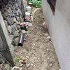 階段から建物の角のところまで、草むしりが