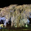 Hokkaido Travel18 - Hokuto Sakura Circuit, a hidden cherry blossom viewing spot near Hakodate