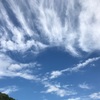 【写真】9月のはてなスマホ写真部のテーマ『お彼岸を撮ってみた』っていうのは嘘で今月は自主練してみました！！