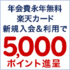 自営業や無職や主婦の人でも作れるお得なクレジットカード「楽天カード」