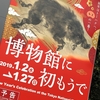 博物館に初もうで イノシシ 勢いのある年に@東京国立博物館・感想