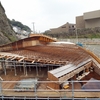 江の島「にゃんこ」と「BOAT虫」