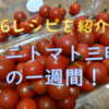 ミニトマト三昧の一週間！