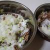わんこ飯と人間飯