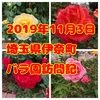 埼玉県伊奈町バラ園訪問記〈2019年11月〉