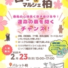 占いdeマルシェ柏に出展しました（2025年2月23日）