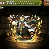 【パズドラ】光の魔法使いレイ=シリウスの入手方法やスキル上げ、使い道や素材情報！