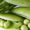 Benoit特選食材「グリーンピース」のご案内です。