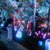 【衝撃】チームラボの最新作が明らかに！昼と夜で驚きの変貌を遂げる秘密の庭園とは？