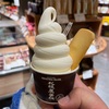 札幌で食べたもの